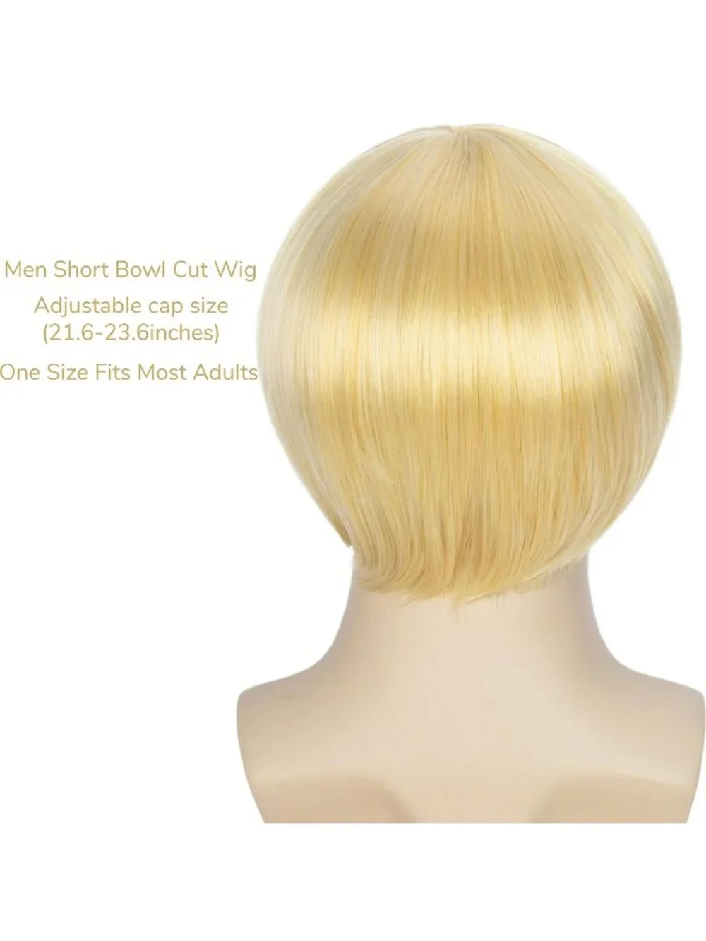 Men's Geige Retro Bowl Cut Straight Synthetic Mushroom Hairpiece Bangs Wig